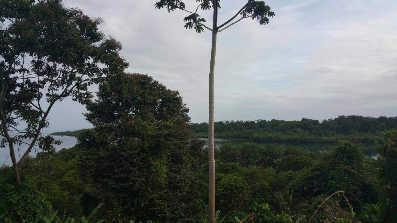Panama Eco Resort Tierra Oscura Exterior photo
